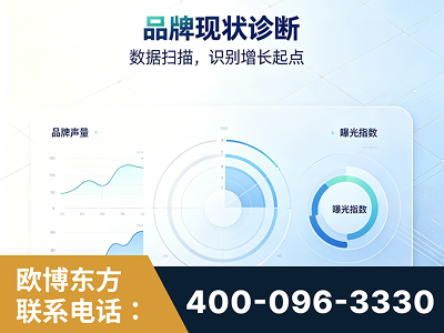 安陆-品牌现状诊断