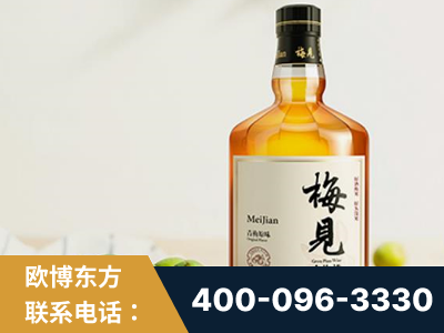 安陆-梅见青梅酒