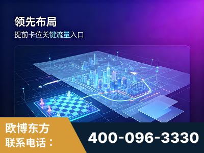 安陆-领先布局：于2024年初开启GEO业务的公司